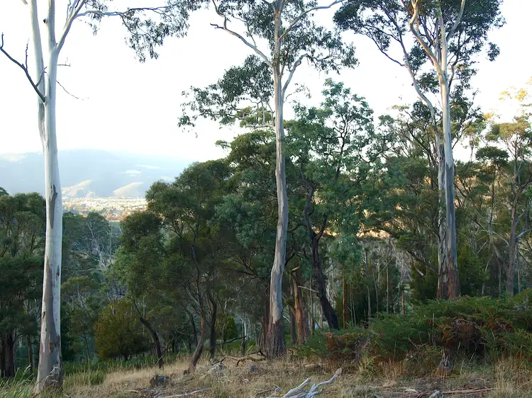 Sixth view of Homely land listing, 7 Moores Road, Lachlan TAS 7140
