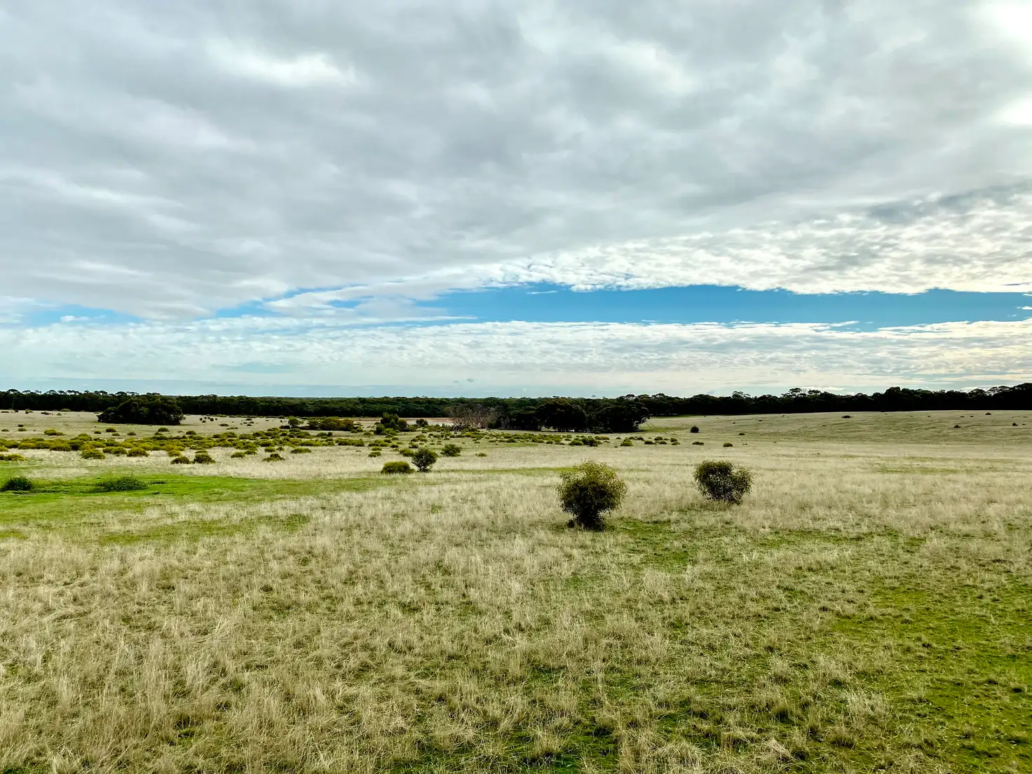 Main view of Homely rural property listing, Cnr Rasmussens & Bagshot- Whirrakee Rd, Kamarooka VIC 3570