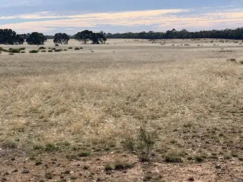 Fifth view of Homely rural property listing, Cnr Rasmussens & Bagshot- Whirrakee Rd, Kamarooka VIC 3570