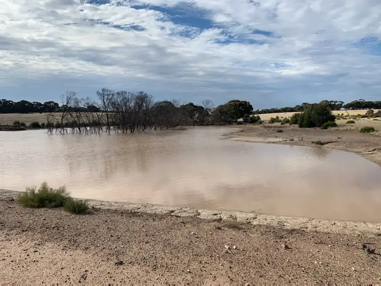 Sixth view of Homely rural property listing, Cnr Rasmussens & Bagshot- Whirrakee Rd, Kamarooka VIC 3570