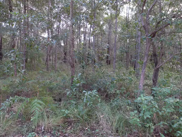 Fifth view of Homely land listing, 26 Bamberry Street, Russell Island QLD 4184