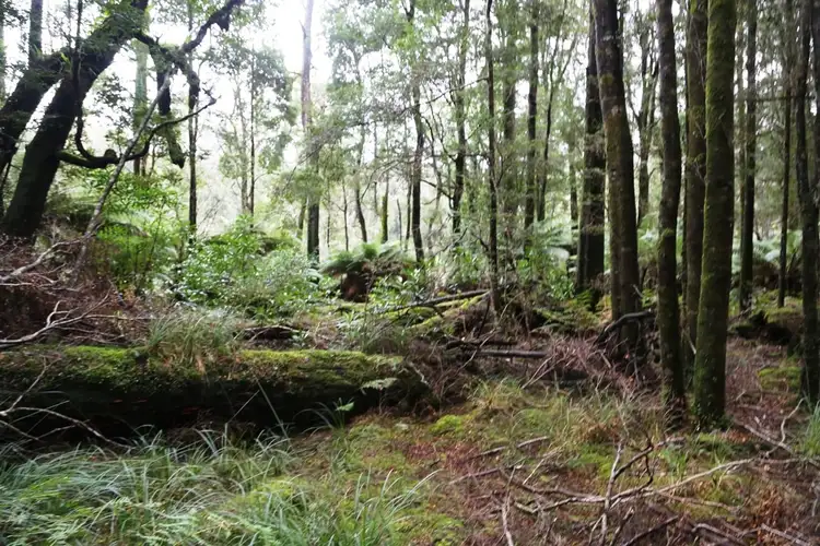 Main view of Homely land listing, 1 Meryanna Road, Trowutta TAS 7330