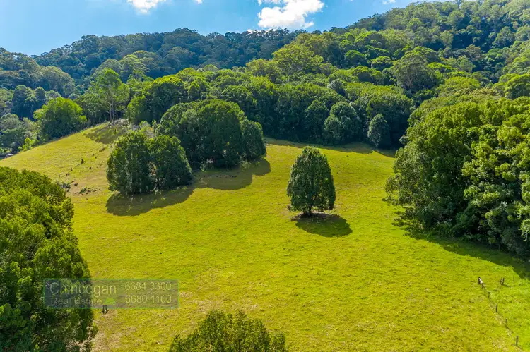Main view of Homely rural property listing, 584 The Pocket Road, The Pocket NSW 2483