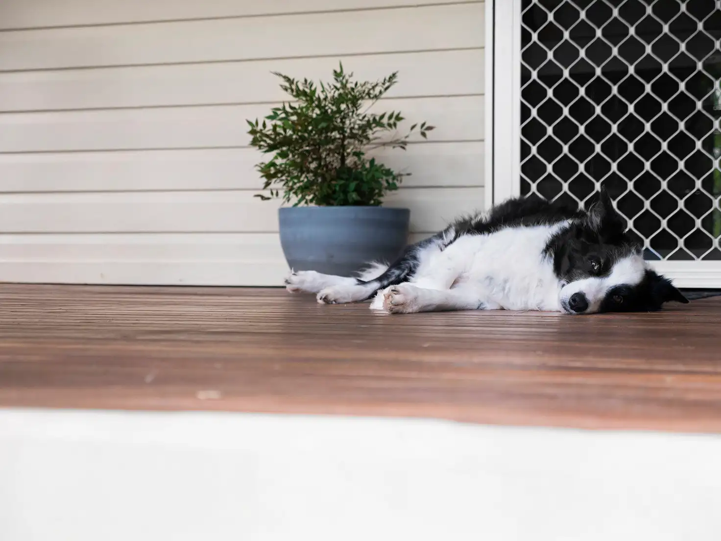 Main view of Homely house listing, 25 Simmons Street, Caboolture QLD 4510