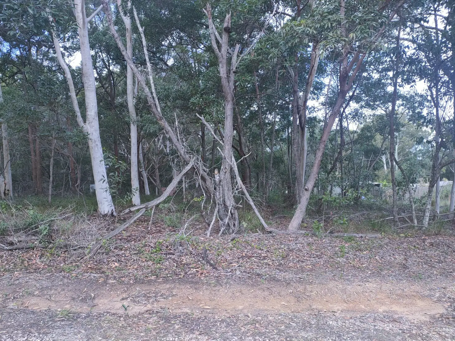 Main view of Homely land listing, 36 Villa Wood Road, Russell Island QLD 4184