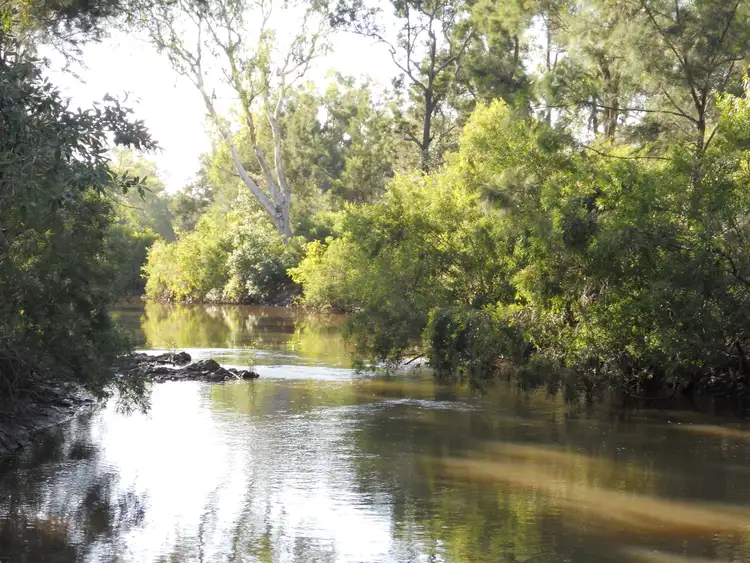 Second view of Homely rural property listing, 239 Metzger Road, Mutchilba QLD 4872