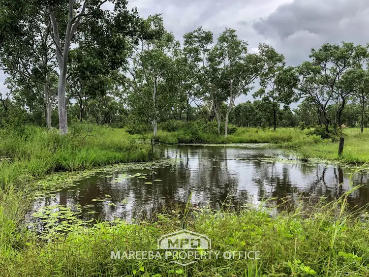Fifth view of Homely rural property listing, 239 Metzger Road, Mutchilba QLD 4872