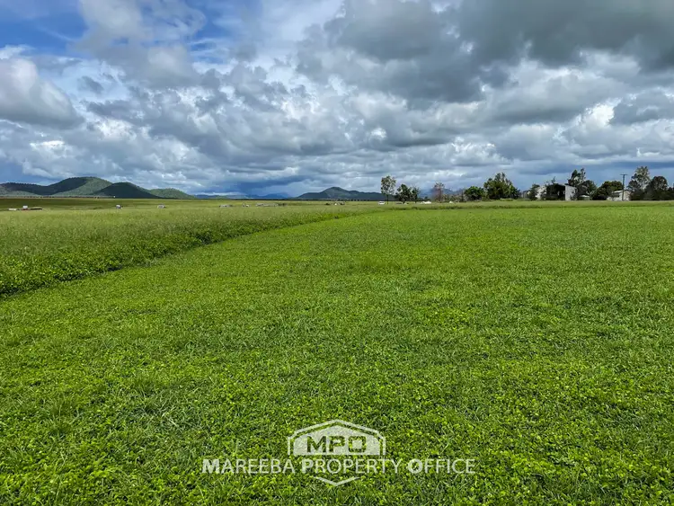 Seventh view of Homely rural property listing, 239 Metzger Road, Mutchilba QLD 4872
