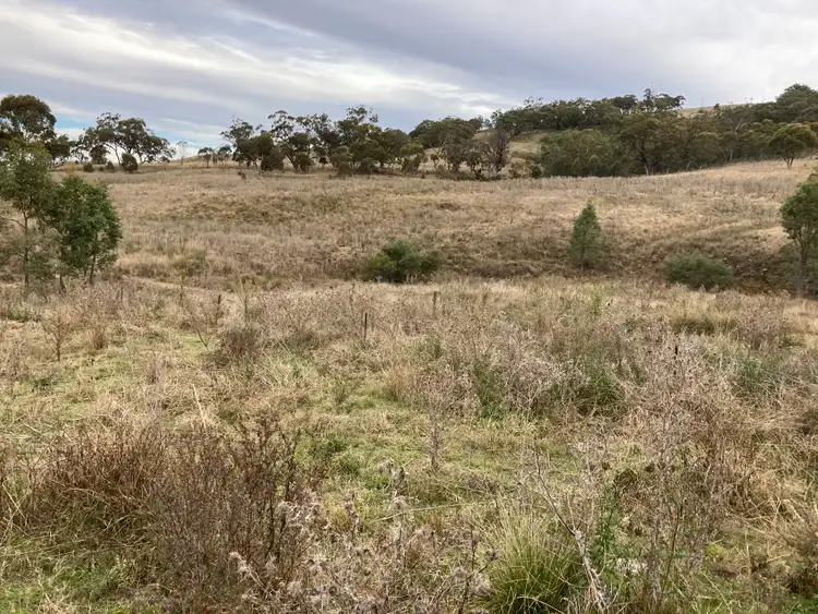 Second view of Homely rural property listing, 2021 PEMBROKE ROAD, Cassilis NSW 2329
