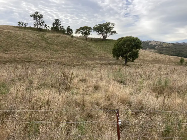 Fifth view of Homely rural property listing, 2021 PEMBROKE ROAD, Cassilis NSW 2329