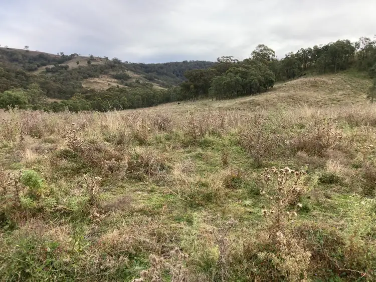 Sixth view of Homely rural property listing, 2021 PEMBROKE ROAD, Cassilis NSW 2329