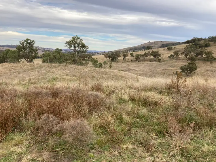 Seventh view of Homely rural property listing, 2021 PEMBROKE ROAD, Cassilis NSW 2329