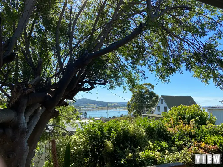 Second view of Homely house listing, 5 Erythos Grove, St Helens TAS 7216