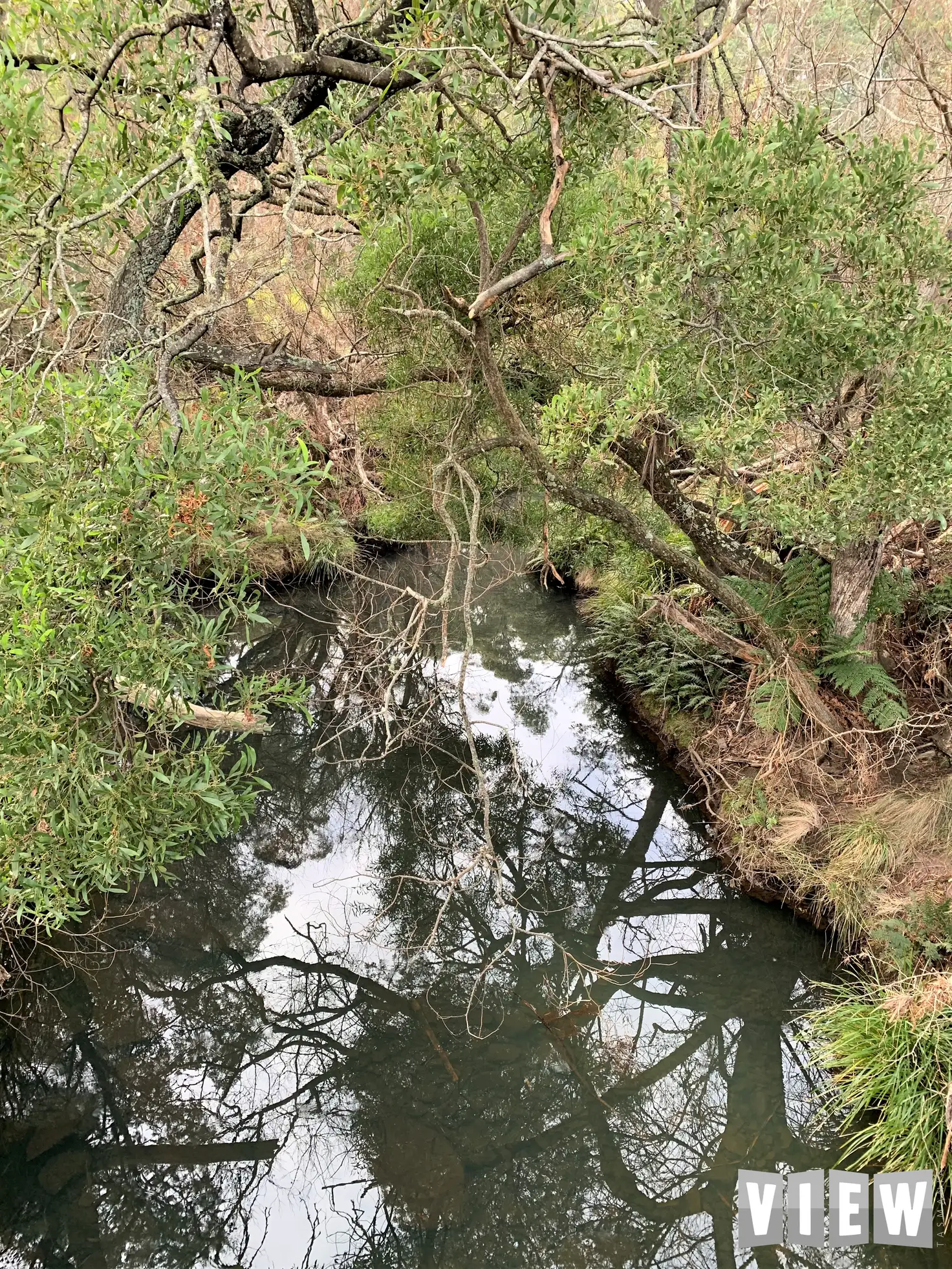 Main view of Homely land listing, Lot 4 Elephant Pass Road, Gray TAS 7215