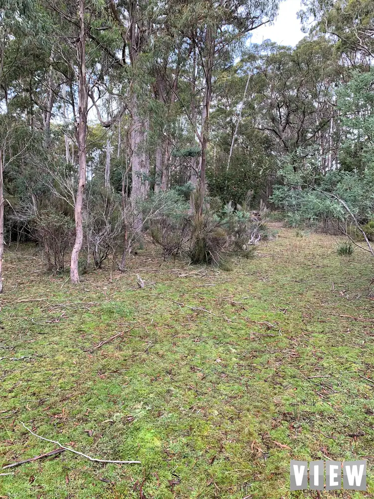 Second view of Homely land listing, Lot 4 Elephant Pass Road, Gray TAS 7215