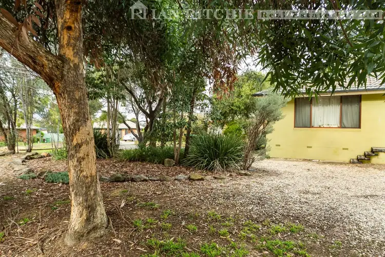 Main view of Homely house listing, 5 Budginigi Place, Thurgoona NSW 2640
