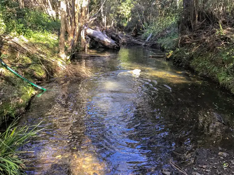 Second view of Homely rural property listing, 265 Khatabundah Road, Wingham NSW 2429