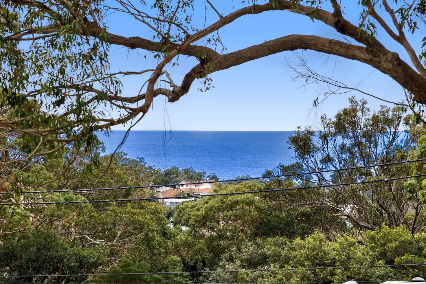Main view of Homely house listing, 17 York Terrace, Bilgola Plateau NSW 2107