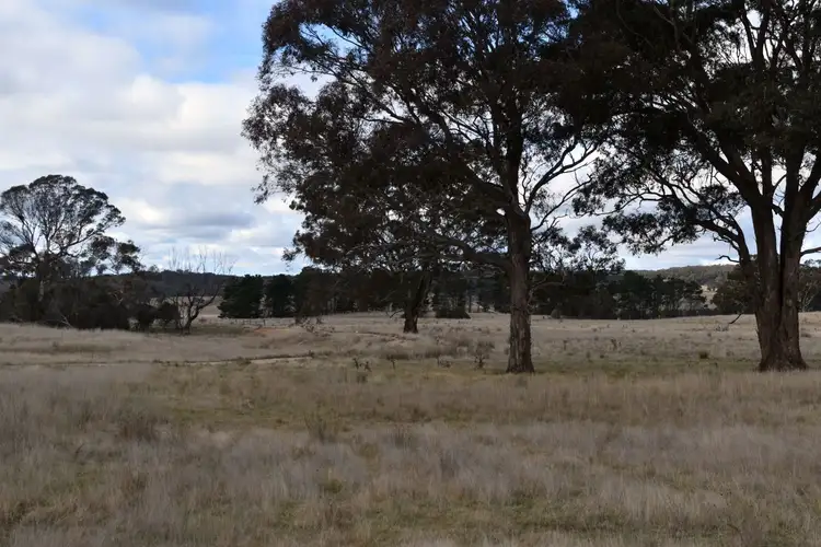Fourth view of Homely rural property listing, 654 Boro Road, Boro NSW 2622