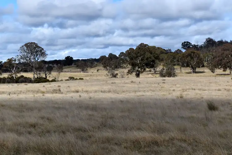 Fifth view of Homely rural property listing, 654 Boro Road, Boro NSW 2622
