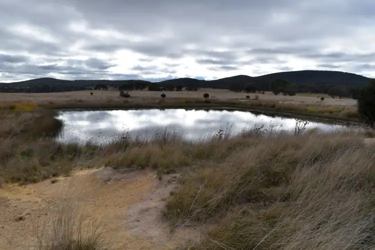 Sixth view of Homely rural property listing, 654 Boro Road, Boro NSW 2622