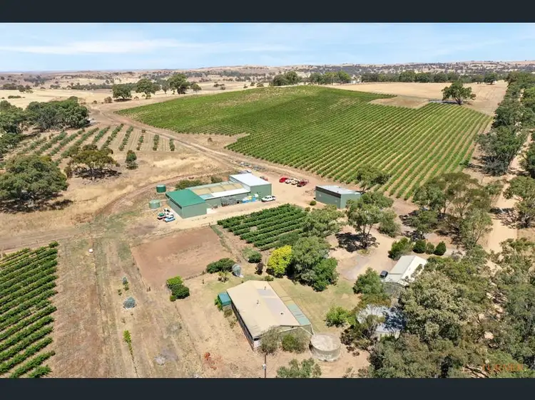 Main view of Homely rural property listing, 82 Koop Creek Road (Springton Hills Wines), Springton SA 5235
