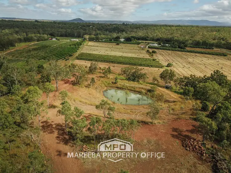Second view of Homely rural property listing, 336 Fichera Road, Mareeba QLD 4880