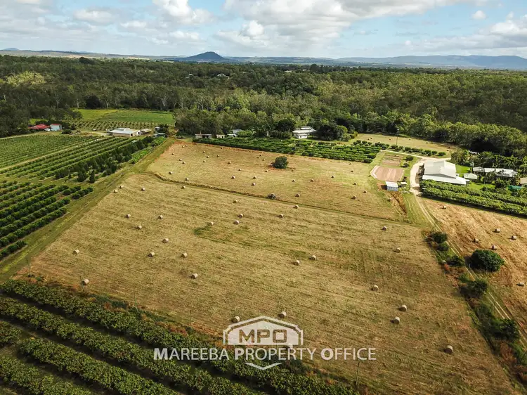 Third view of Homely rural property listing, 336 Fichera Road, Mareeba QLD 4880