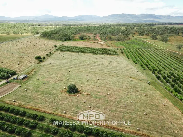Fifth view of Homely rural property listing, 336 Fichera Road, Mareeba QLD 4880