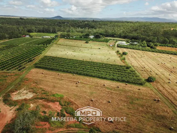 Seventh view of Homely rural property listing, 336 Fichera Road, Mareeba QLD 4880
