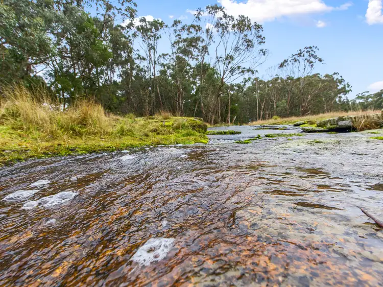 Main view of Homely rural property listing, 198 Yurittas Road, Caveat VIC 3660