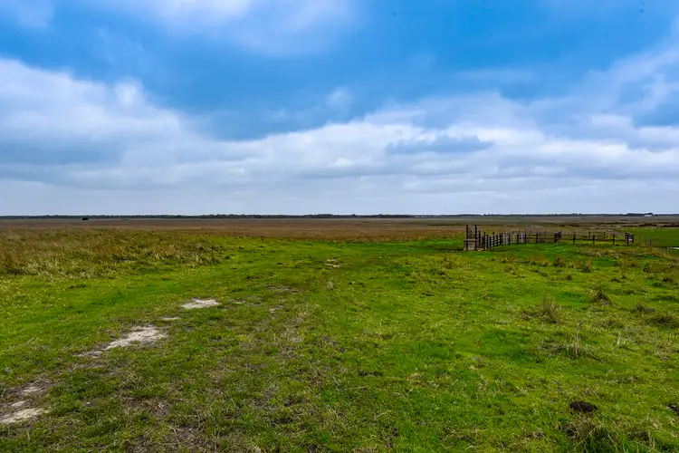 Seventh view of Homely rural property listing, 357 Meyers Road, Nene Valley SA 5291