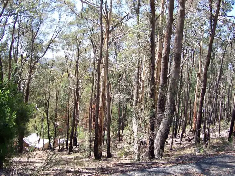 LOT 81 Bates Road, Blackwood VIC 3458