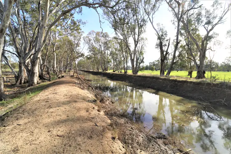 Main view of Homely rural property listing, View Street, Koondrook VIC 3580