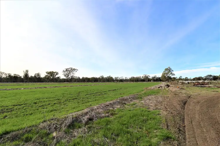 Second view of Homely rural property listing, View Street, Koondrook VIC 3580