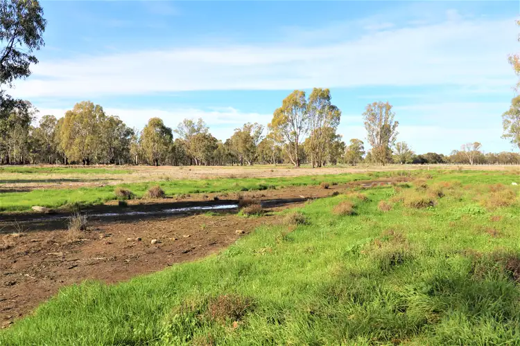 Fifth view of Homely rural property listing, View Street, Koondrook VIC 3580