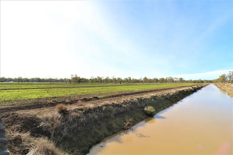 Sixth view of Homely rural property listing, View Street, Koondrook VIC 3580
