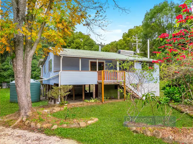Main view of Homely rural property listing, 561 Left Bank Road, Mullumbimby Creek NSW 2482