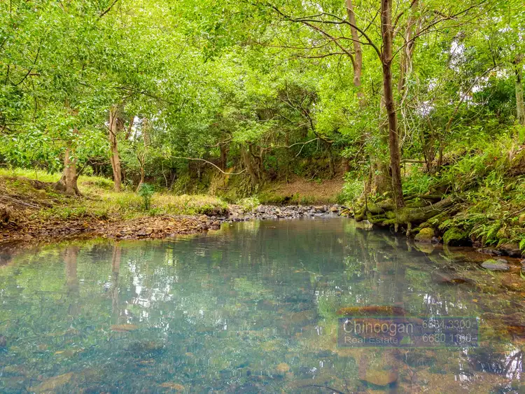 Second view of Homely rural property listing, 561 Left Bank Road, Mullumbimby Creek NSW 2482