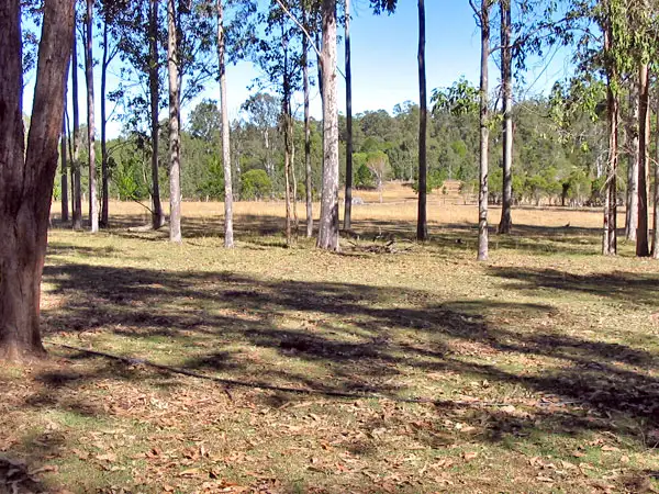 Fourth view of Homely land listing, 5120 Summerland Way, Whiporie NSW 2469