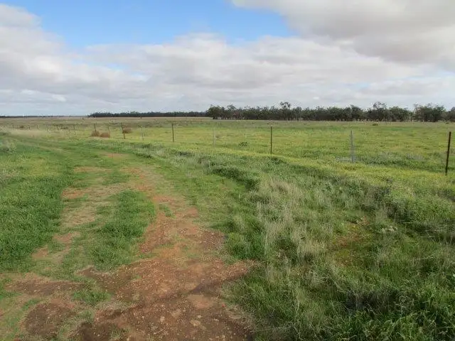 Fourth view of Homely rural property listing, LOT 1/1 Goyura East Rd, Hopetoun VIC 3396