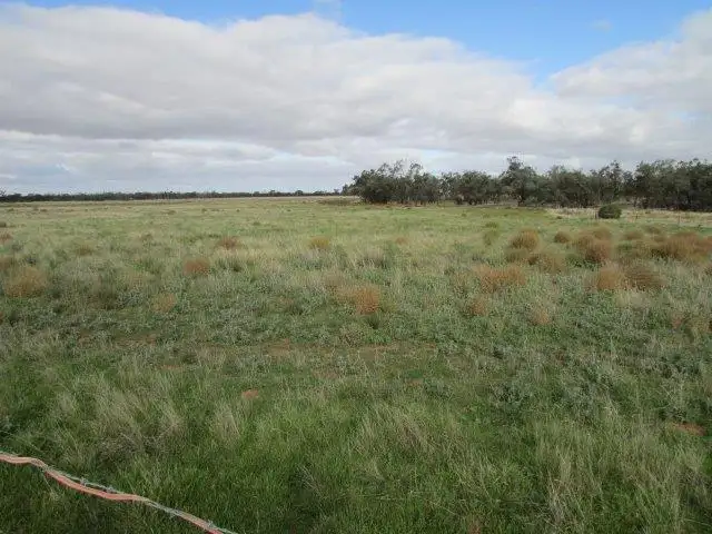 Fifth view of Homely rural property listing, LOT 1/1 Goyura East Rd, Hopetoun VIC 3396