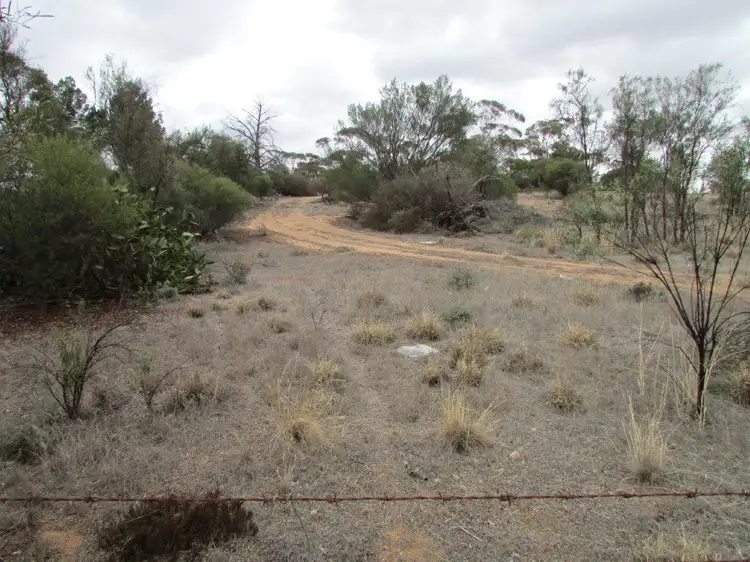 Main view of Homely rural property listing, 86 Mallee Street,, Lascelles VIC 3487