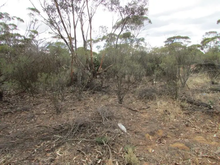 Second view of Homely rural property listing, 86 Mallee Street,, Lascelles VIC 3487