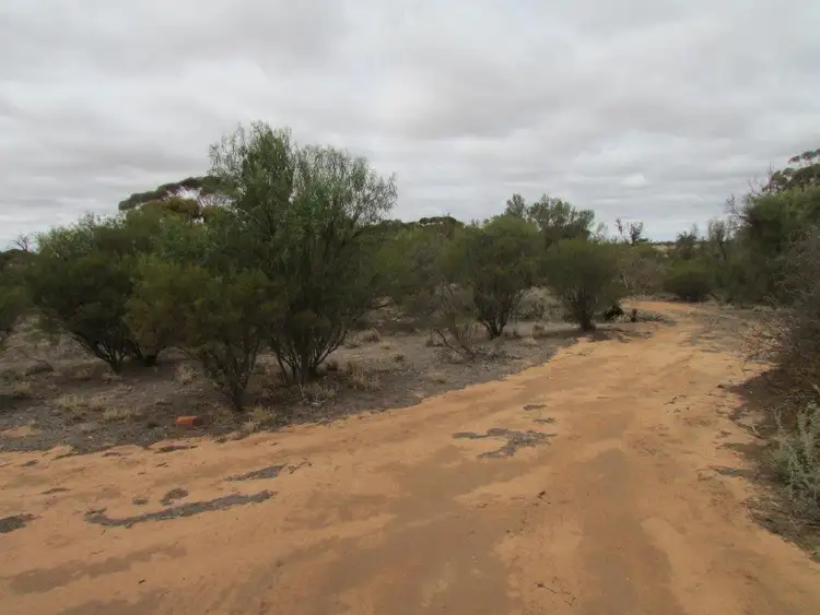 Fifth view of Homely rural property listing, 86 Mallee Street,, Lascelles VIC 3487