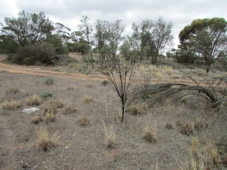 Sixth view of Homely rural property listing, 86 Mallee Street,, Lascelles VIC 3487