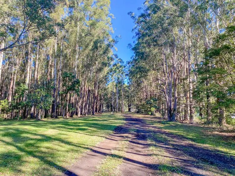Main view of Homely rural property listing, 201 Pampoolah Road, Pampoolah NSW 2430