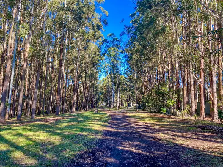 Fourth view of Homely rural property listing, 201 Pampoolah Road, Pampoolah NSW 2430