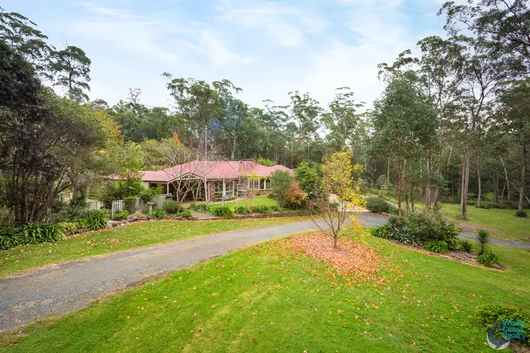 Main view of Homely house listing, 41 Finch Place, Bodalla NSW 2545
