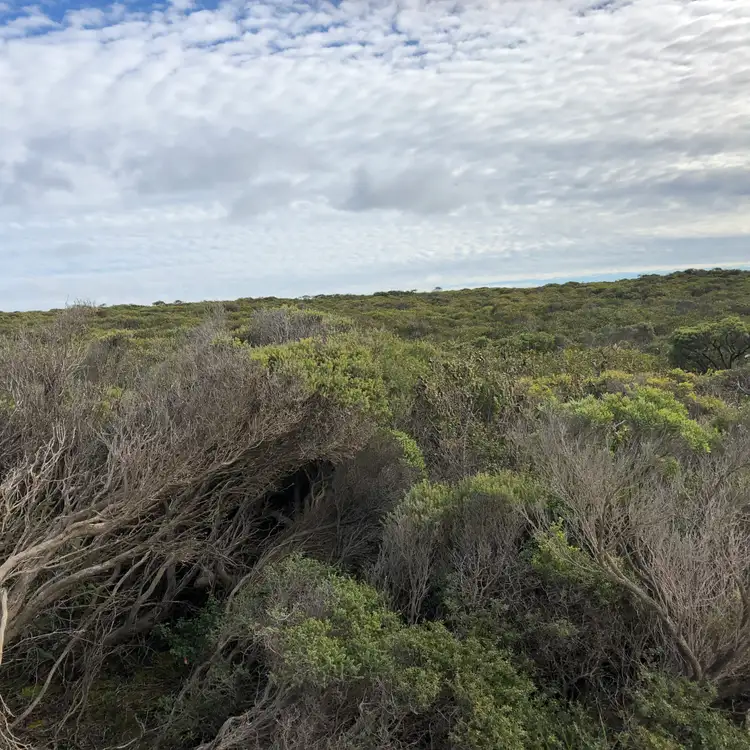 Second view of Homely land listing, LOT 35 Osmanli Rd, D'estrees Bay SA 5223